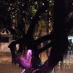 Ipanema Vinícius 201